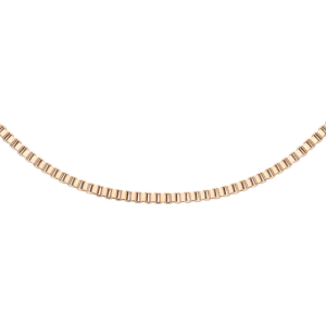 DANIEL WELLINGTON BOX CHAIN NECKLACE RG