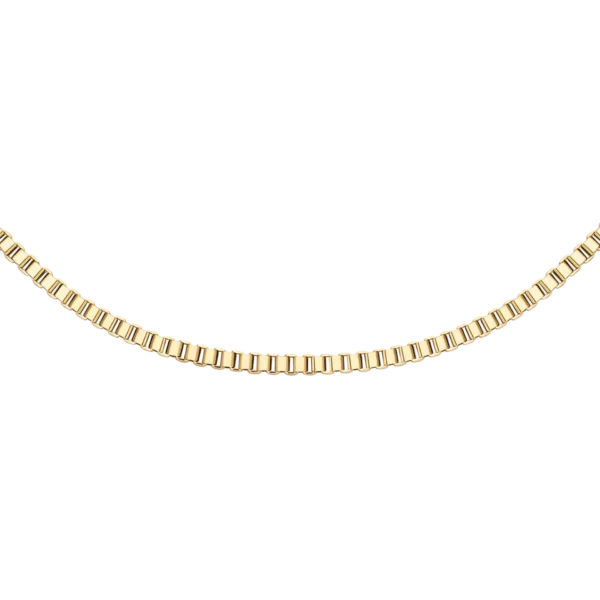 DANIEL WELLINGTONE BOX CHAIN NECKLACE G